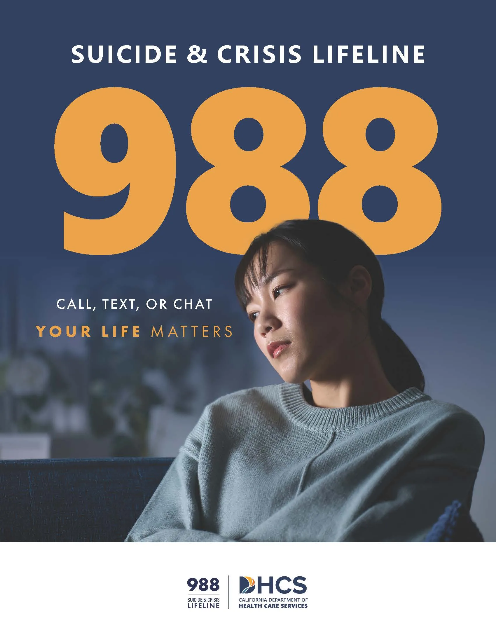 988 Poster – Chinese/English