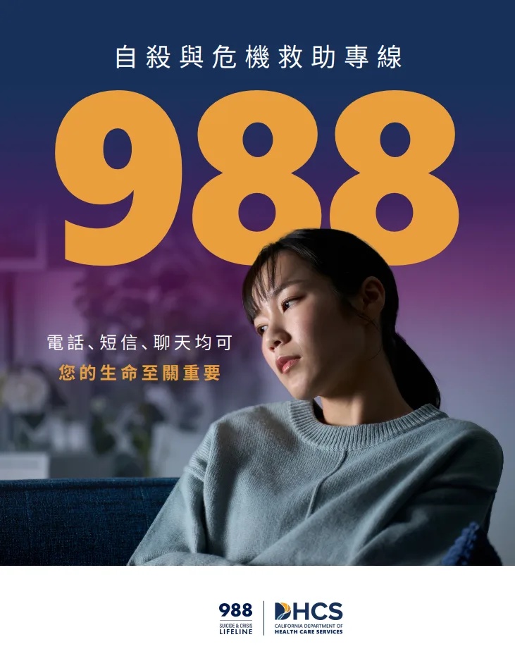 988 Poster – Chinese