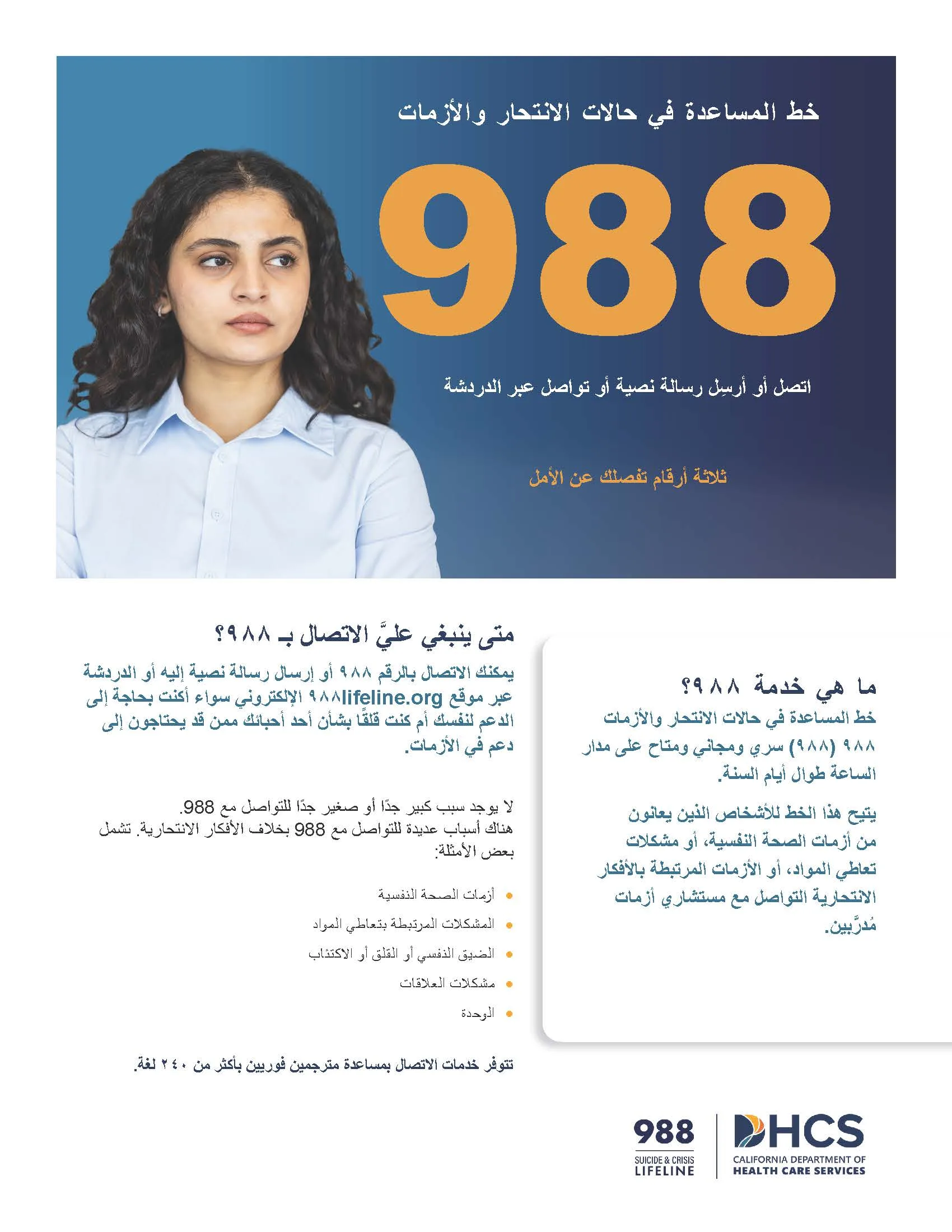 988 Flyer Arabian