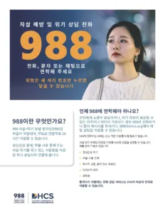 988 Flyer – Korean