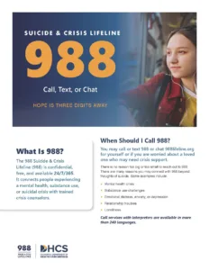 988 Flyer – Russian/English