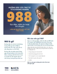 988 Flyer – Vietnamese