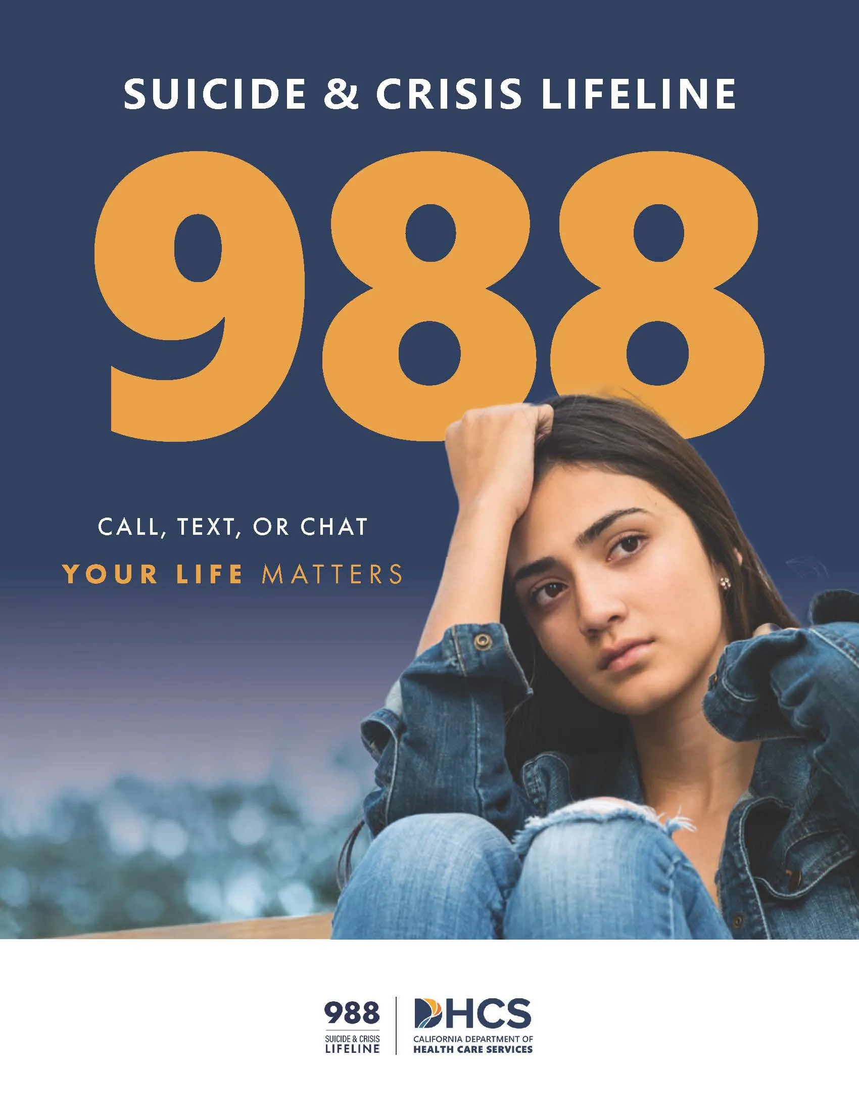 988 Poster – Hindi/English